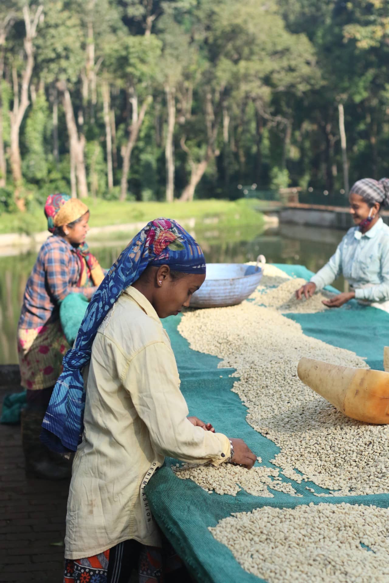 Coffee processing at origin